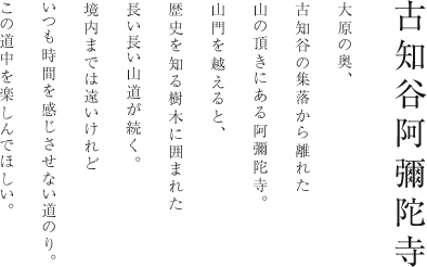 古知谷阿彌陀寺 大原の奥、古知谷の集落から離れた山の頂きにある阿彌陀寺。山門を越えると、歴史を知る樹木に囲まれた長い長い山道が続く。境内までは遠いけれどいつも時間を感じさせない道のり。この道中を楽しんでほしい。