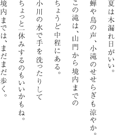 夏は木漏れ日がいい。蝉や鳥の声、小滝のせせらぎも涼やか。この滝は、山門から境内までのちょうど中程にある。小川の水で手を洗ったりしてちょっと一休みするのもいいかもね。境内までは、まだまだ歩く。