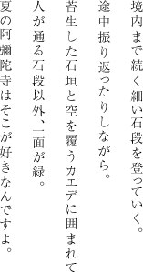 境内まで続く細い石段を登っていく。途中振り返ったりしながら。苔生した石垣と空を覆うカエデに囲まれて人が通る石段以外、一面が緑。夏の阿彌陀寺はそこが好きなんですよ。