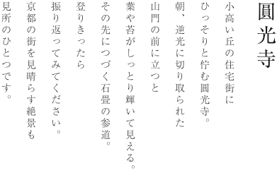 圓光寺 小高い丘の住宅街にひっそりと佇む圓光寺。朝、逆光に切り取られた山門の前に立つと葉や苔がしっとりと輝いて見える。その先につづく石畳の参道。登りきったら振り返ってみてください。京都の街を見晴らす絶景も見所のひとつです。