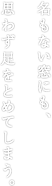 名もない窓にも、思わず足をとめてしまう。