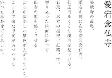 愛宕念仏寺 嵯峨野の最奥、愛宕山麓にある愛宕念仏寺。仁王門をくぐり境内を見上げる。石段、お堂の屋根、紅葉、空。切り立った斜面に沿って山寺の趣を感じさせるどこか懐かしい景色が広がっていく。ここまで来た甲斐があったっていつも思わせてくれます。