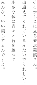 そこかしこに立ち並ぶ羅漢さん。出迎えてくれているみたいでうれしい。小さな体に青々と苔を纏ってみんな、いい顔してるんですよ。